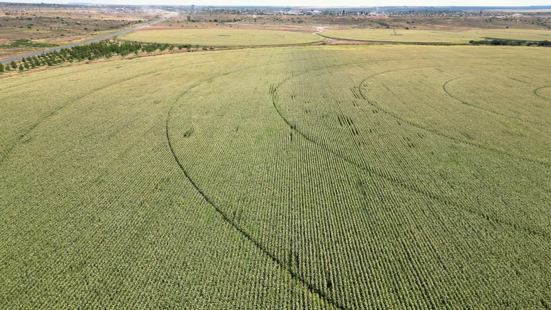 90 Ha Irrigation Farm for sale