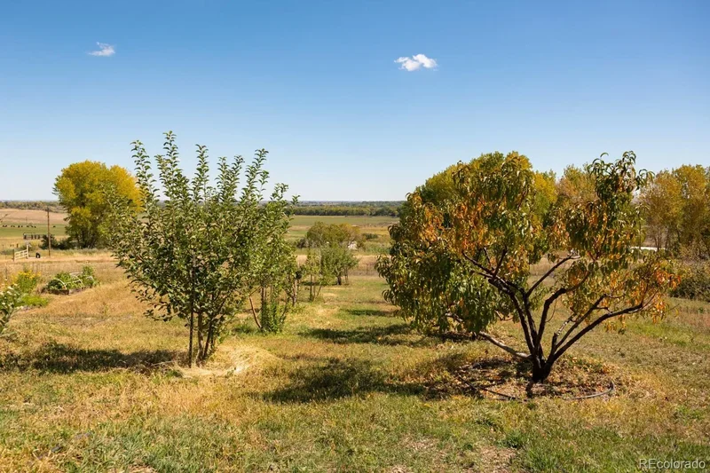 5952 Oxford Road, Longmont, Colorado, United States. - Photo 43