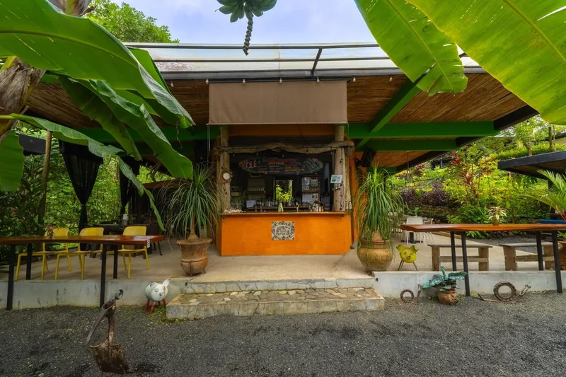 Torio, Veraguas Province, Panama. - Photo 18