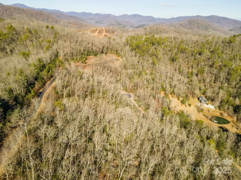 99999 Mills River Way 108, Horse Shoe, North Carolina, United States. - Photo 12