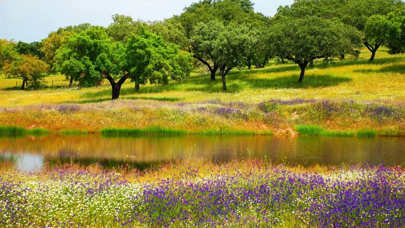 Magnificent Baroque Manor House in Crato, near to Portalegre, Alentejo