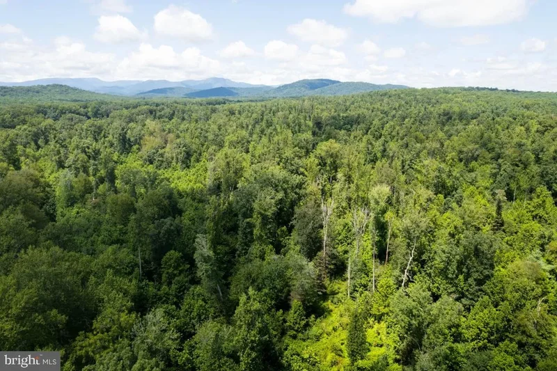 00 W Hoover Tbd, Reva, VA 22735, Haywood, Virginia, United States. - Photo 16