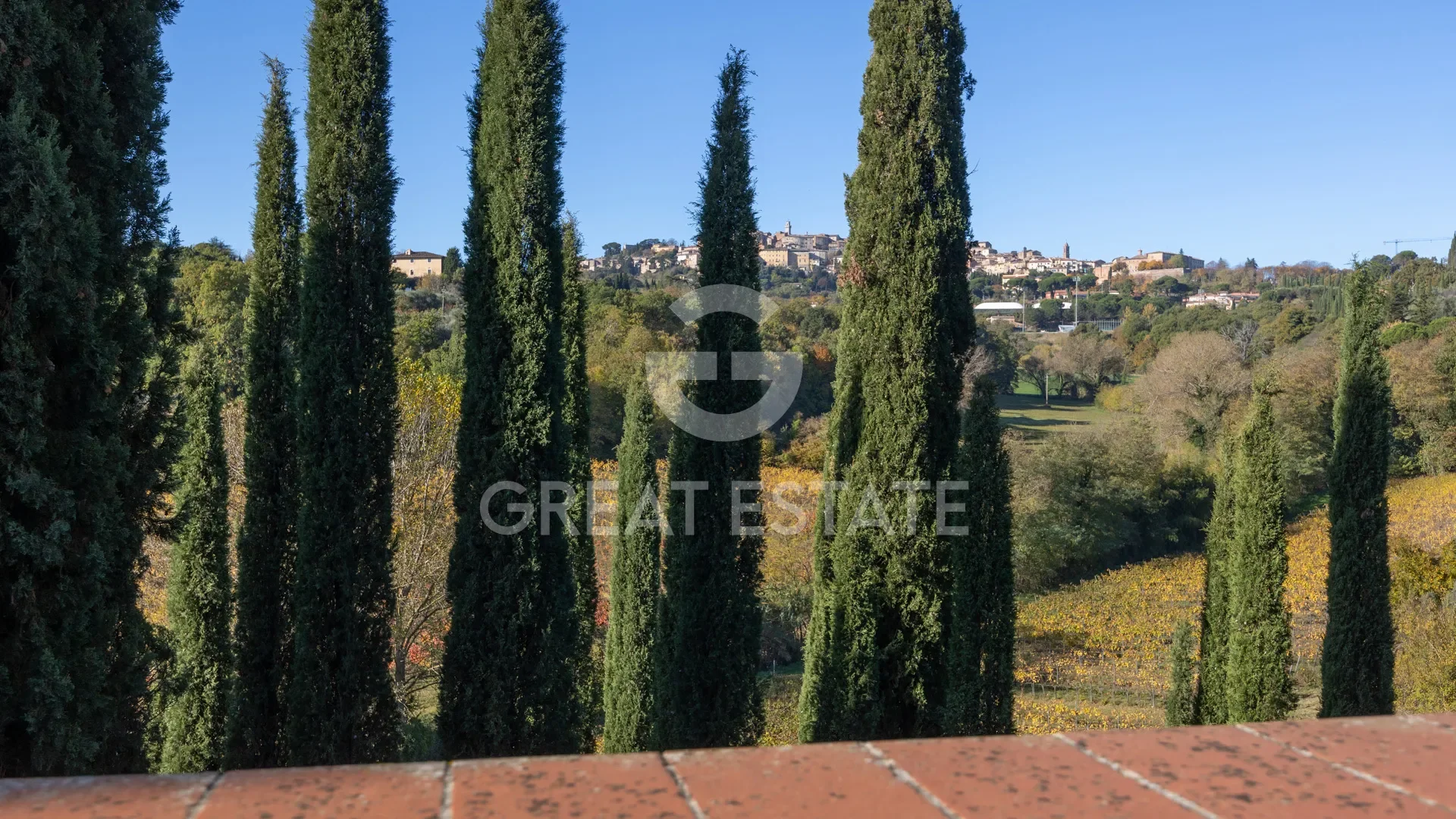 Tuscany, Montepulciano, Tuscany, Italy. - Photo 45