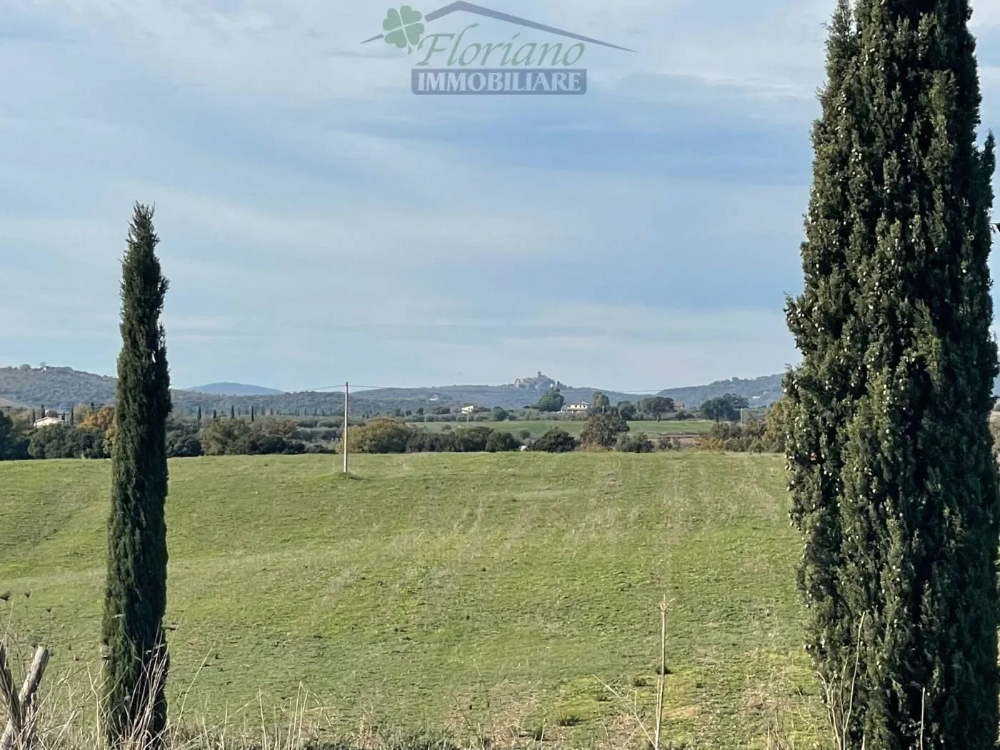 Località Cacciata Grande, Montalto di Castro, Lazio, Italy. - Photo 14