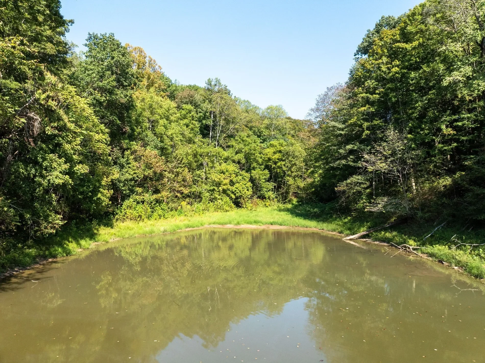 3150 Matlock Rd, Clarksville, TN, 37043, USA, Clarksville, Tennessee, United States. - Photo 5