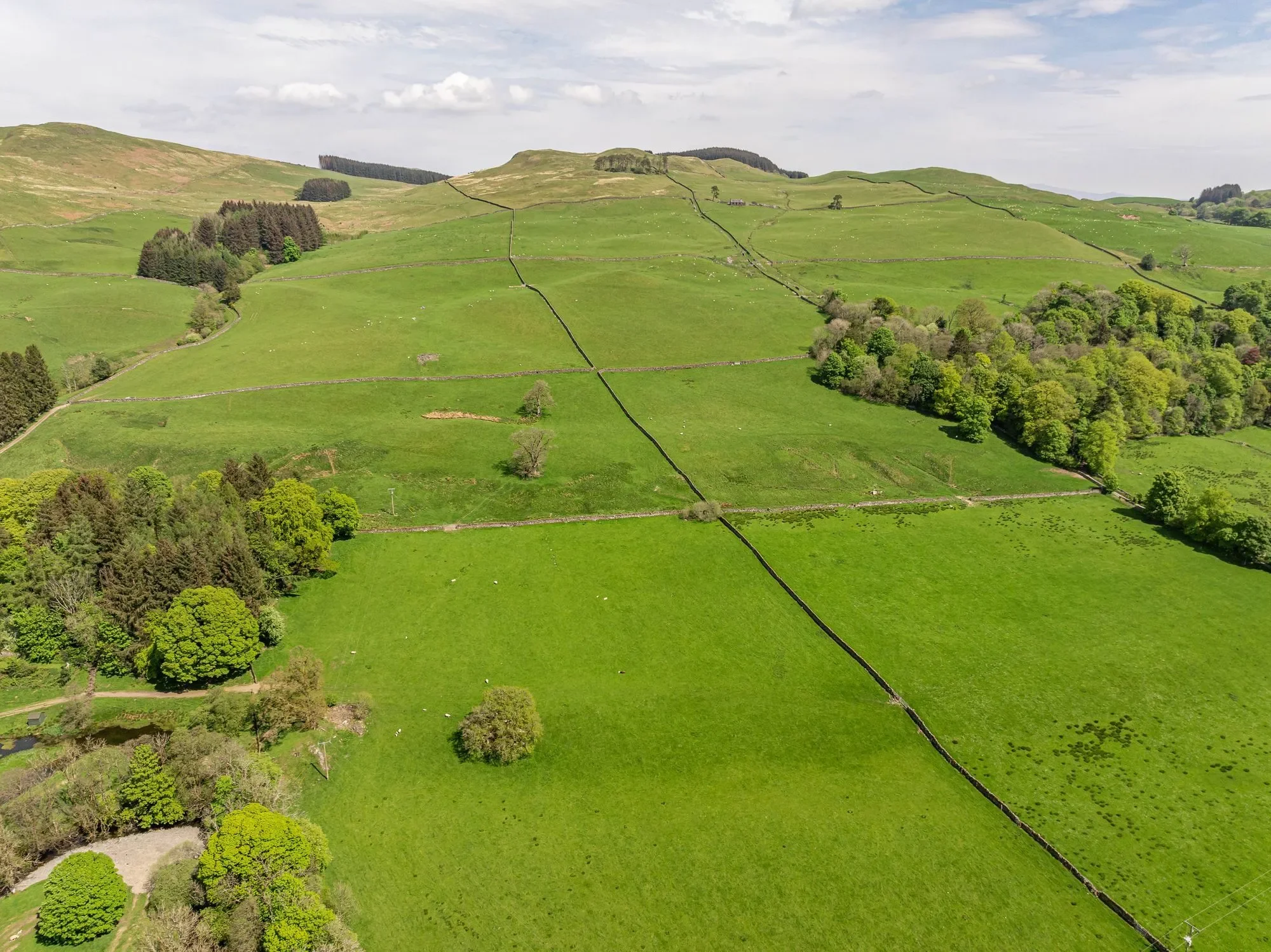 Moniaive, Thornhill, Thornhill, Scotland, United Kingdom. - Photo 3
