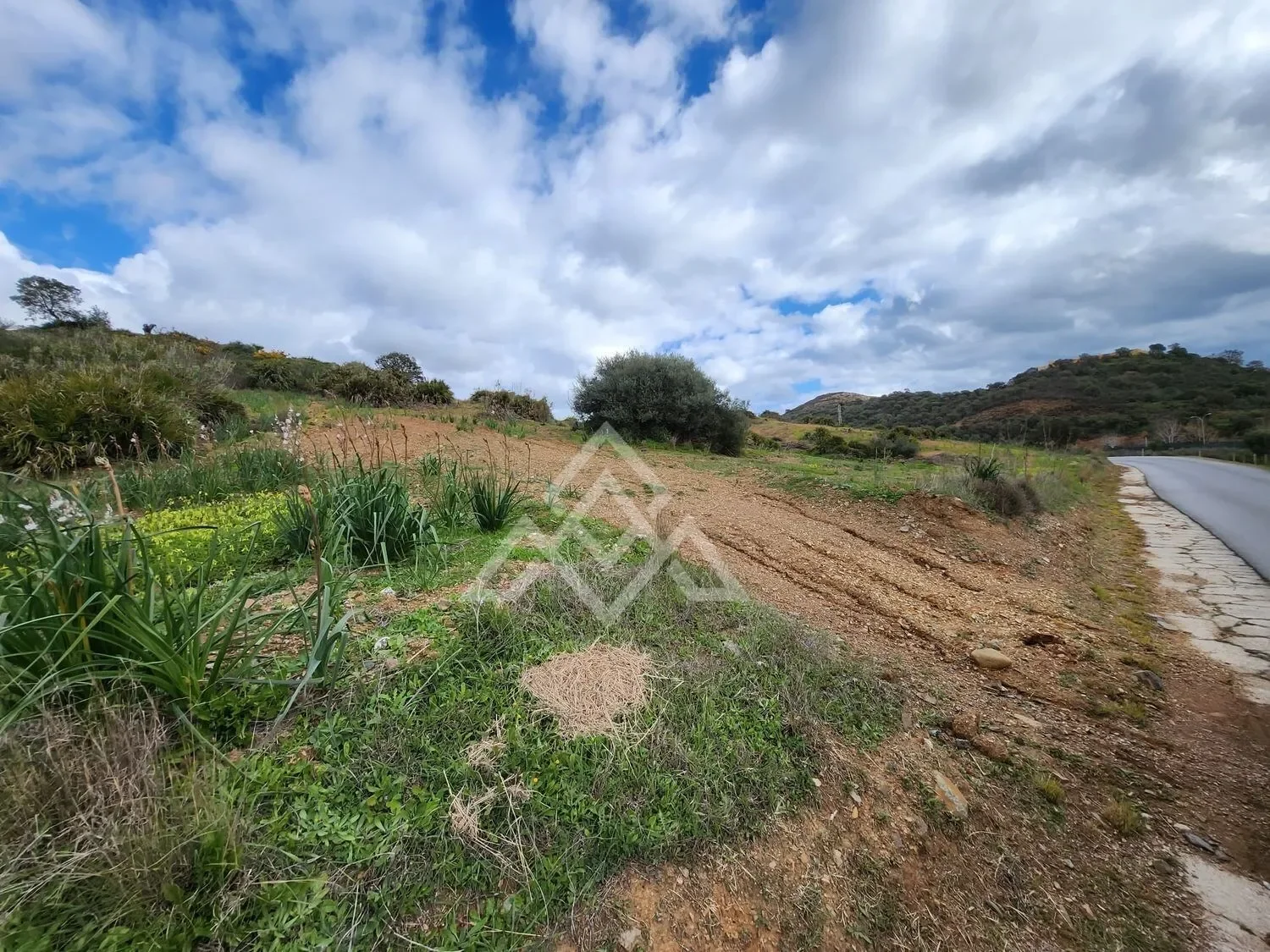 Gallery photo 4