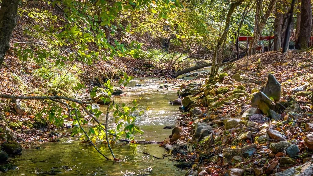 212 Dogpatch Lane, Blue Ridge, Georgia, United States. - Photo 15