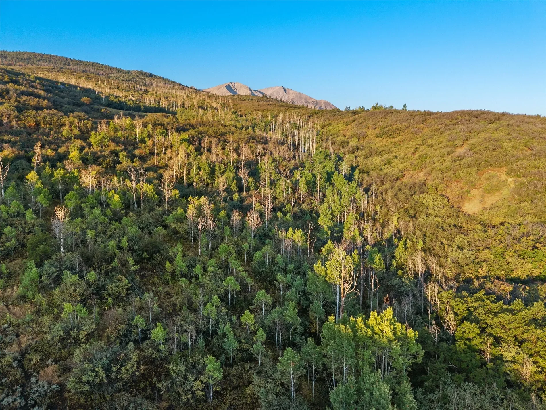 TBD Old Herron Road Lot 48, Basalt, CO 81621, El Jebel, Colorado, United States. - Photo 9