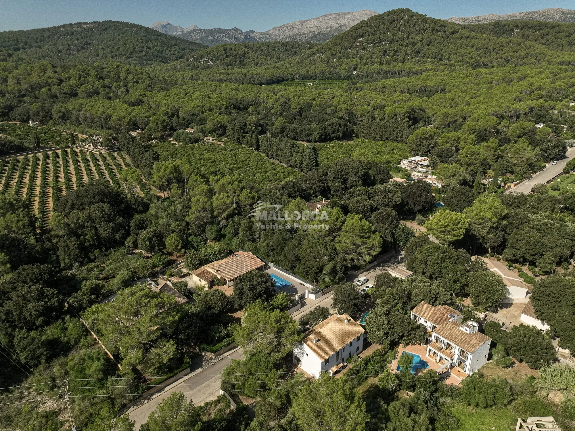 Property photo 6