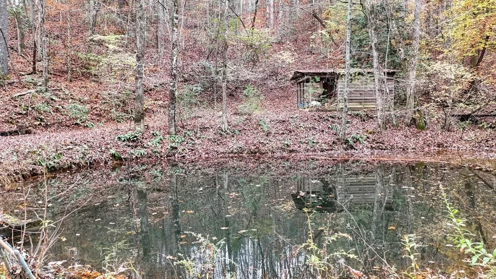 2479 Plum Orchard Road, Clayton, Georgia, United States. - Photo 40