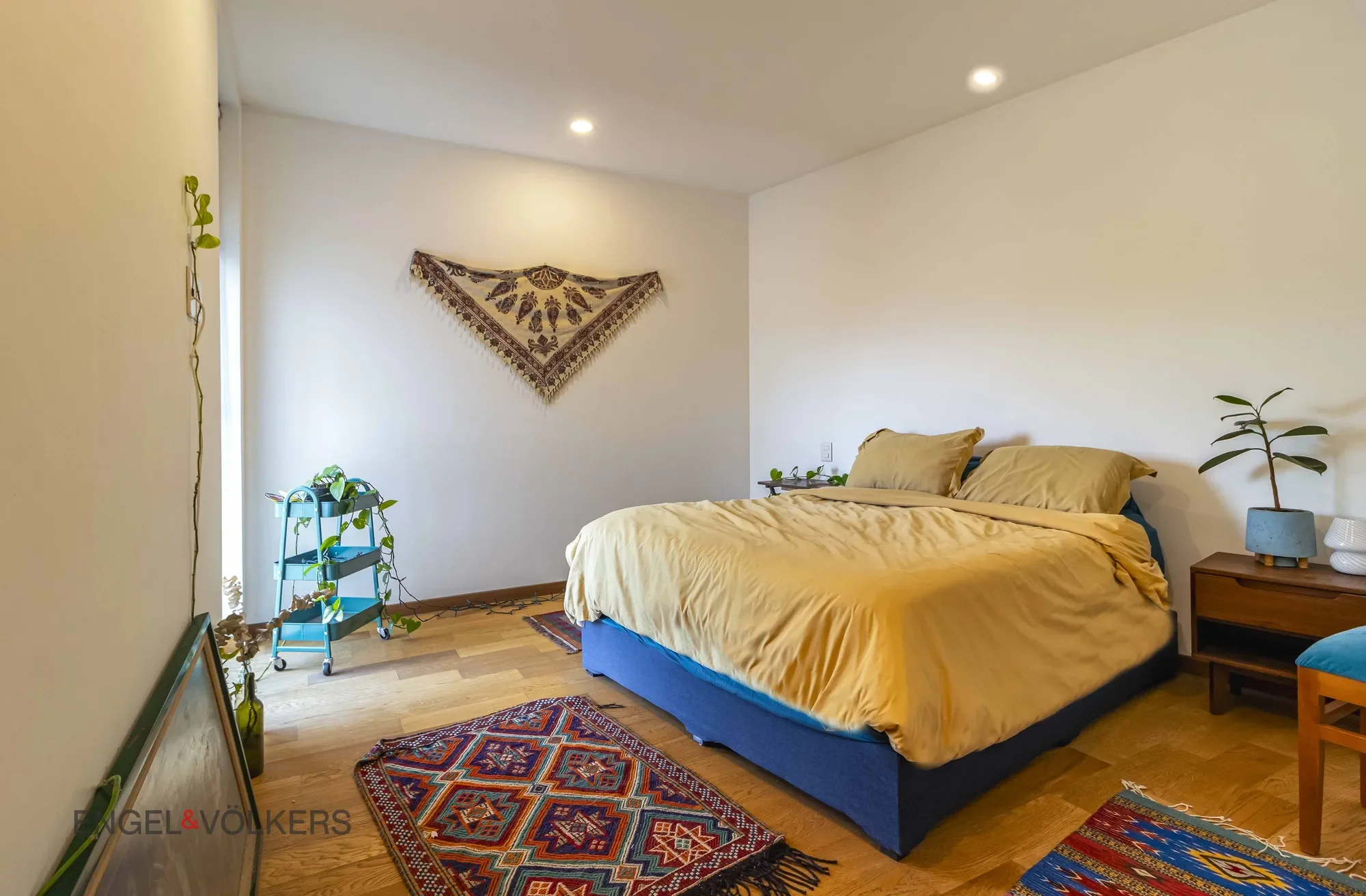 Gallery photo 5
