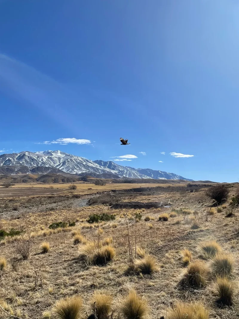 Land in Tupungato, Mendoza, M, Las Heras, Mendoza Province, Argentina. - Photo 12
