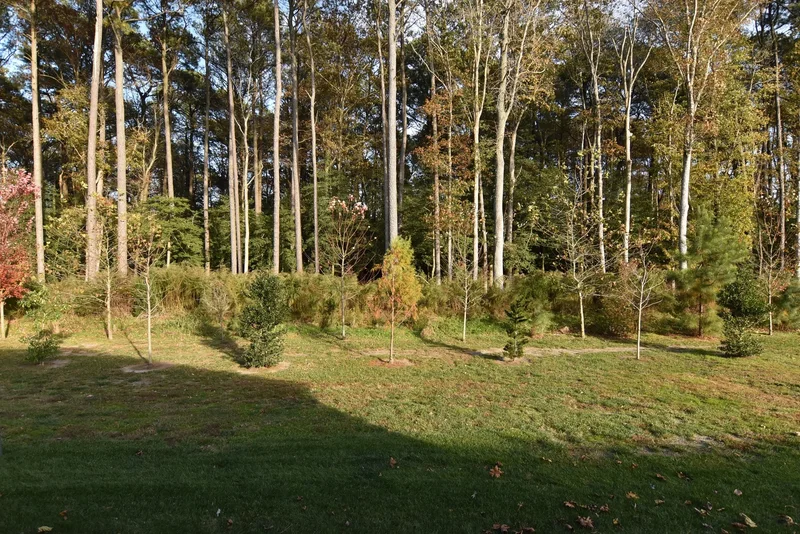 37921 Coppice Way, Dagsboro, DE 19939, Dagsboro, Delaware, United States. - Photo 25