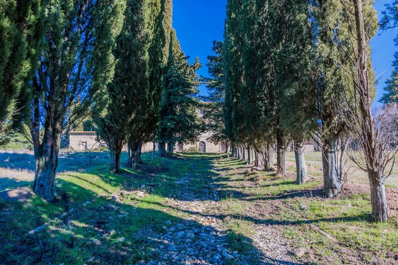 56045 Pomarance, Province of Pisa, Italy, Pomarance, Tuscany, Italy. - Photo 3