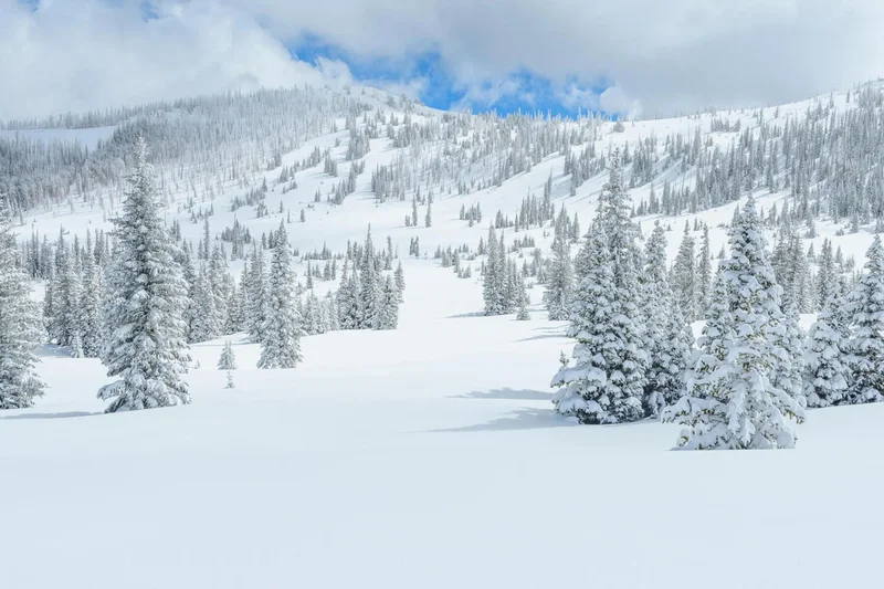 Beautiful New Ski In/Ski Out Community In Brian Head