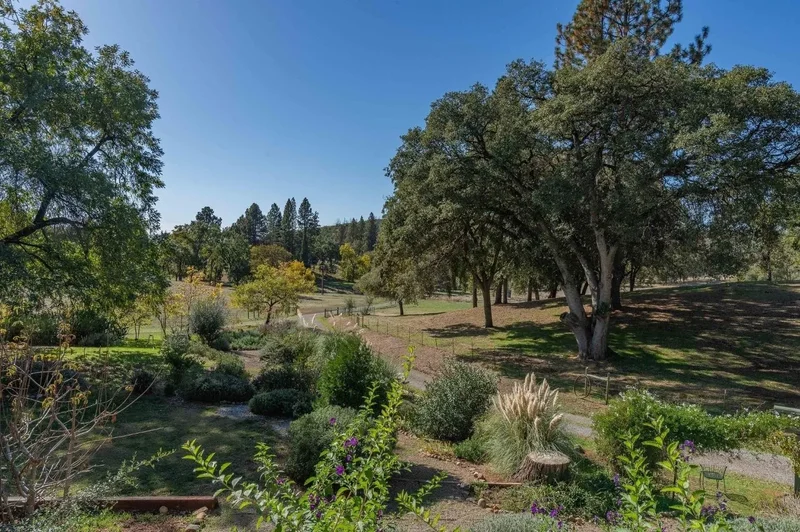 15579 Jesus Maria Road, Mokelumne Hill, CA 95245, Mokelumne Hill, California, United States. - Photo 37