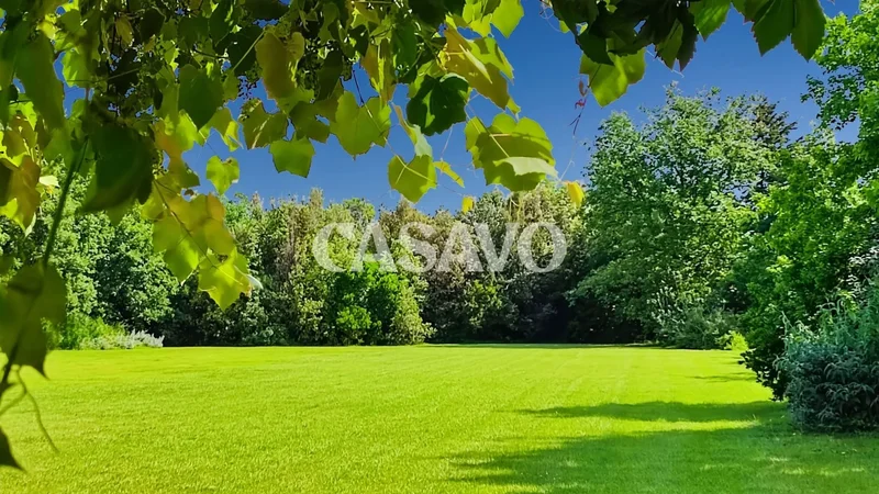 57022 Castagneto Carducci, Province of Livorno, Italy, Castagneto Carducci, Italy. - Photo 86