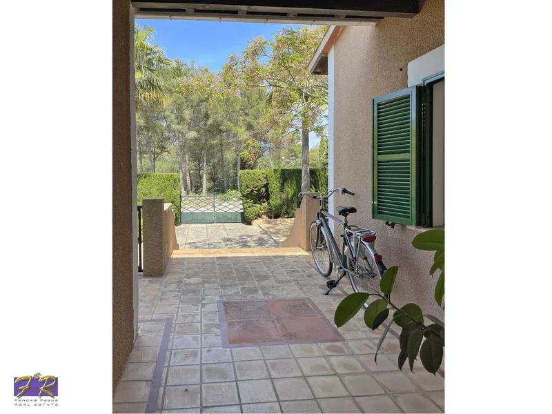 Bonaire - Malpas, Alcudia, Baleares, Alcudia, Alcudia, Balearic Islands, Spain. - Photo 11
