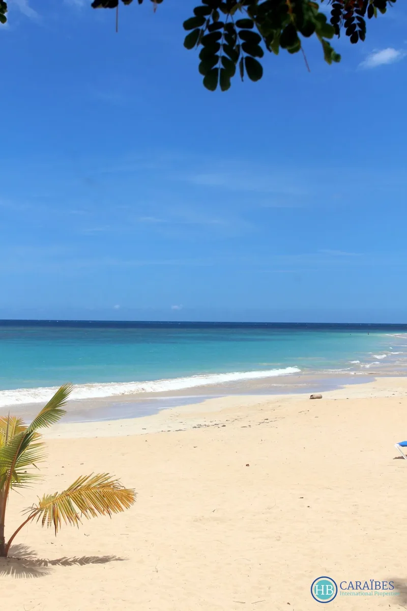 Las Terrenas, Las Terrenas, Las Terrenas, Samaná Province, Dominican Republic. - Photo 21