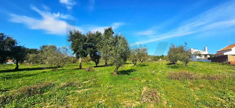 Melides, Grândola, Setúbal, Grândola, Melides, Setubal, Portugal. - Photo 12