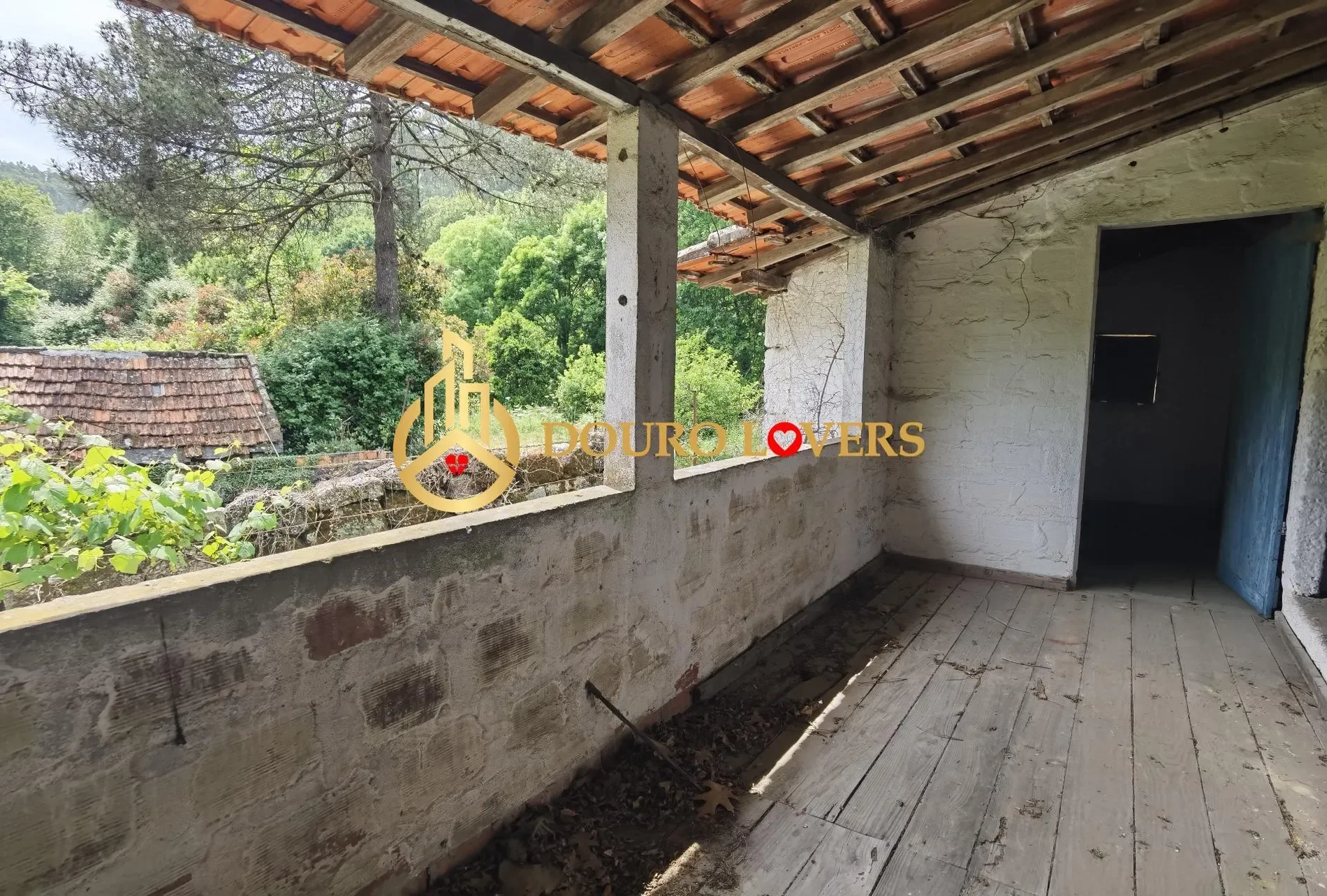 Gallery photo 5