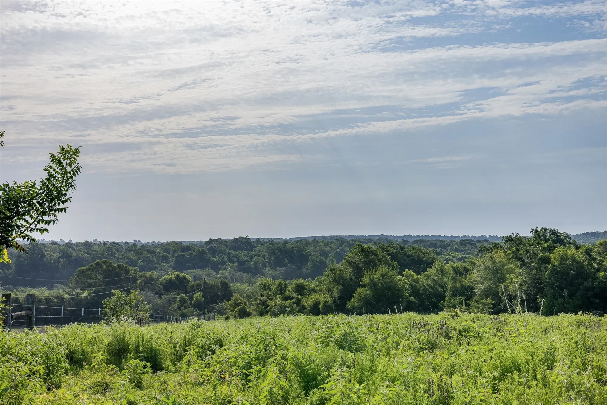 5107 Bovista Ranch Road, Navasota, TX 77868, Navasota, Texas, United States. - Photo 43