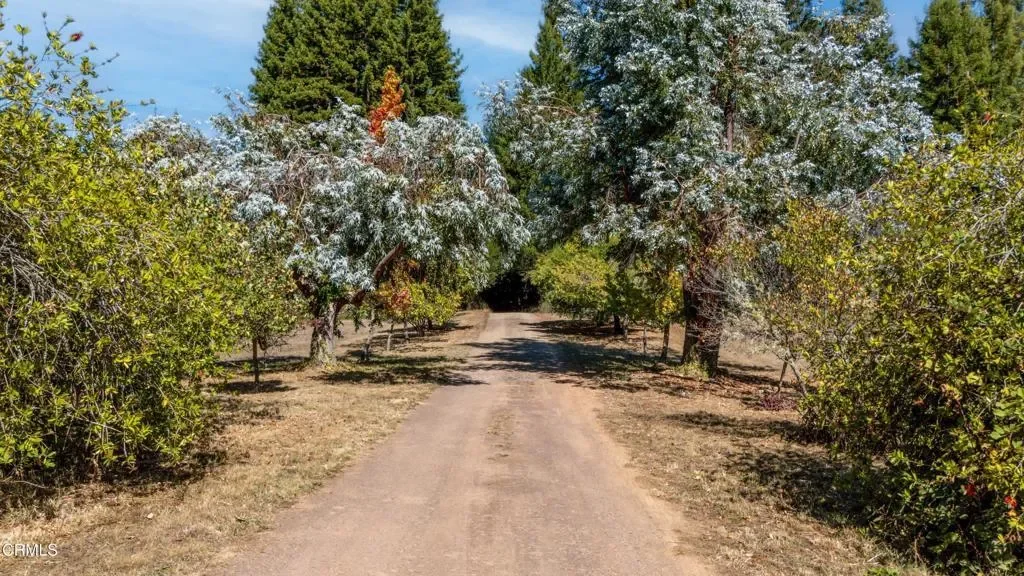 28580 Comptche Ukiah Road, Comptche, California, United States. - Photo 7