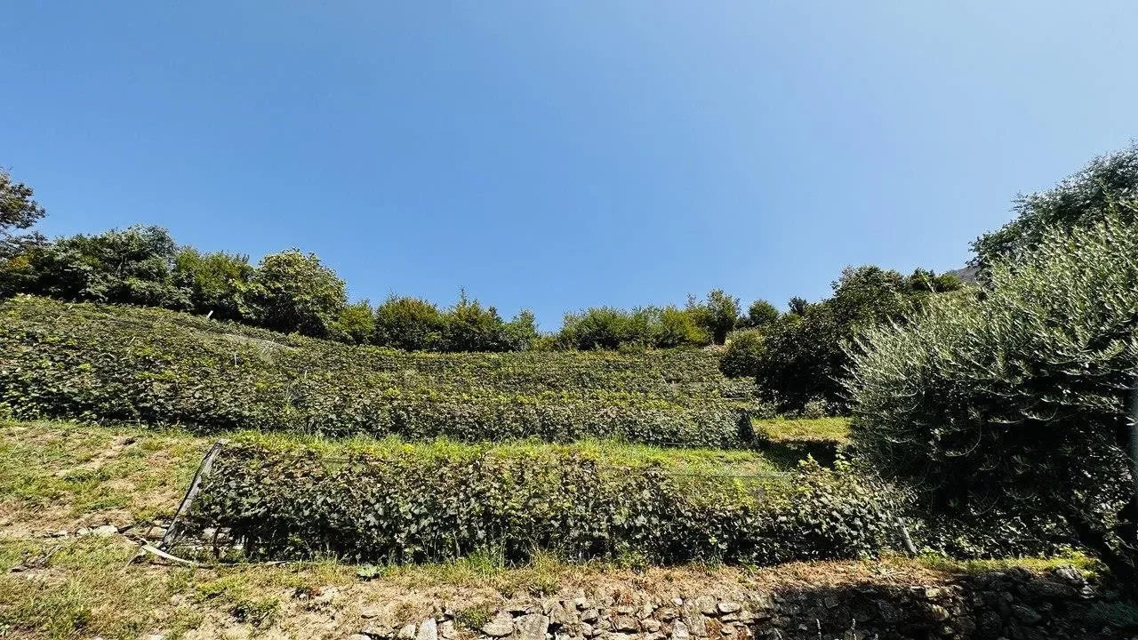 6833 Vacallo, Switzerland, Vacallo, Ticino, Switzerland. - Photo 9