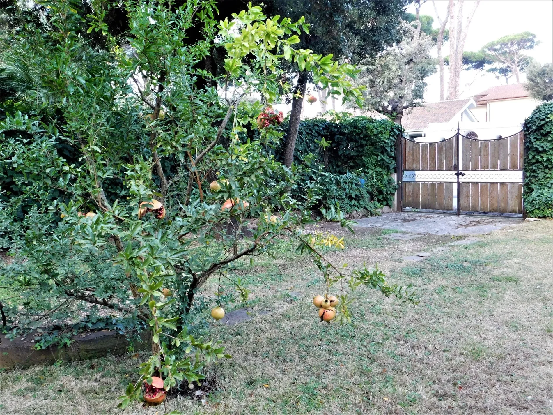 Exterior photo 6