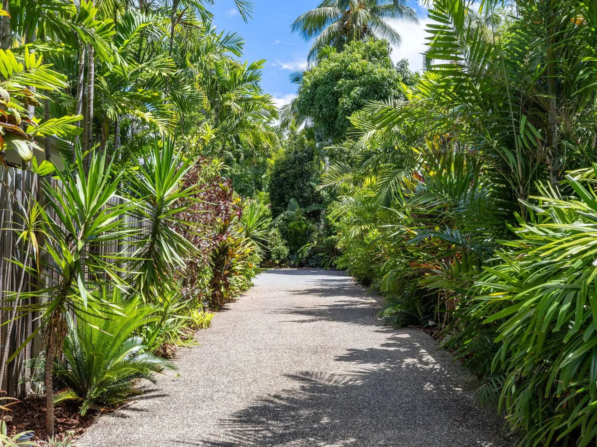 Barrier St, Port Douglas QLD 4877, Australia, Port Douglas, Queensland, Australia. - Photo 16