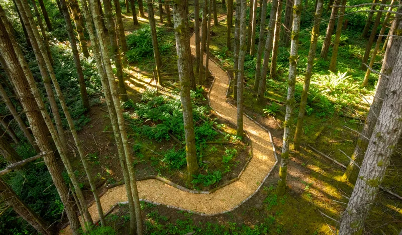 19680 Noll Rd , Poulsbo, WA 98370, Poulsbo, Washington, United States. - Photo 6