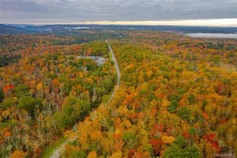 1315 Sackett Lake Road, Forestburgh, NY 12777, Forestburgh, New York, United States. - Photo 7