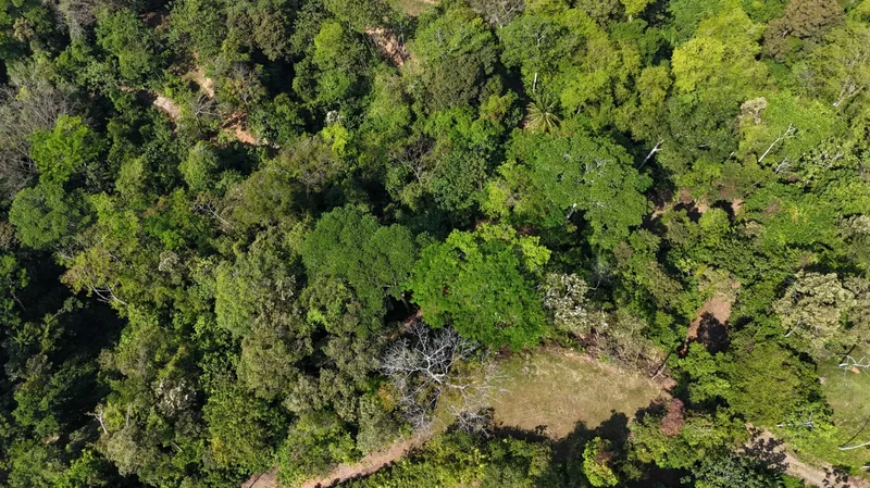 Finca Vista al Pacífico, 71 acres, Savegre de Aguirre, Puntarenas Province, Costa Rica. - Photo 16