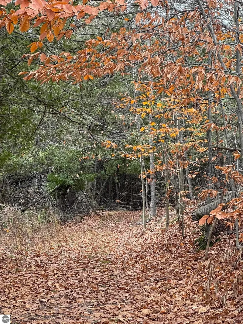 750 N Dumas Road, Suttons Bay, MI, 49682, USA, Suttons Bay, Michigan, United States. - Photo 4