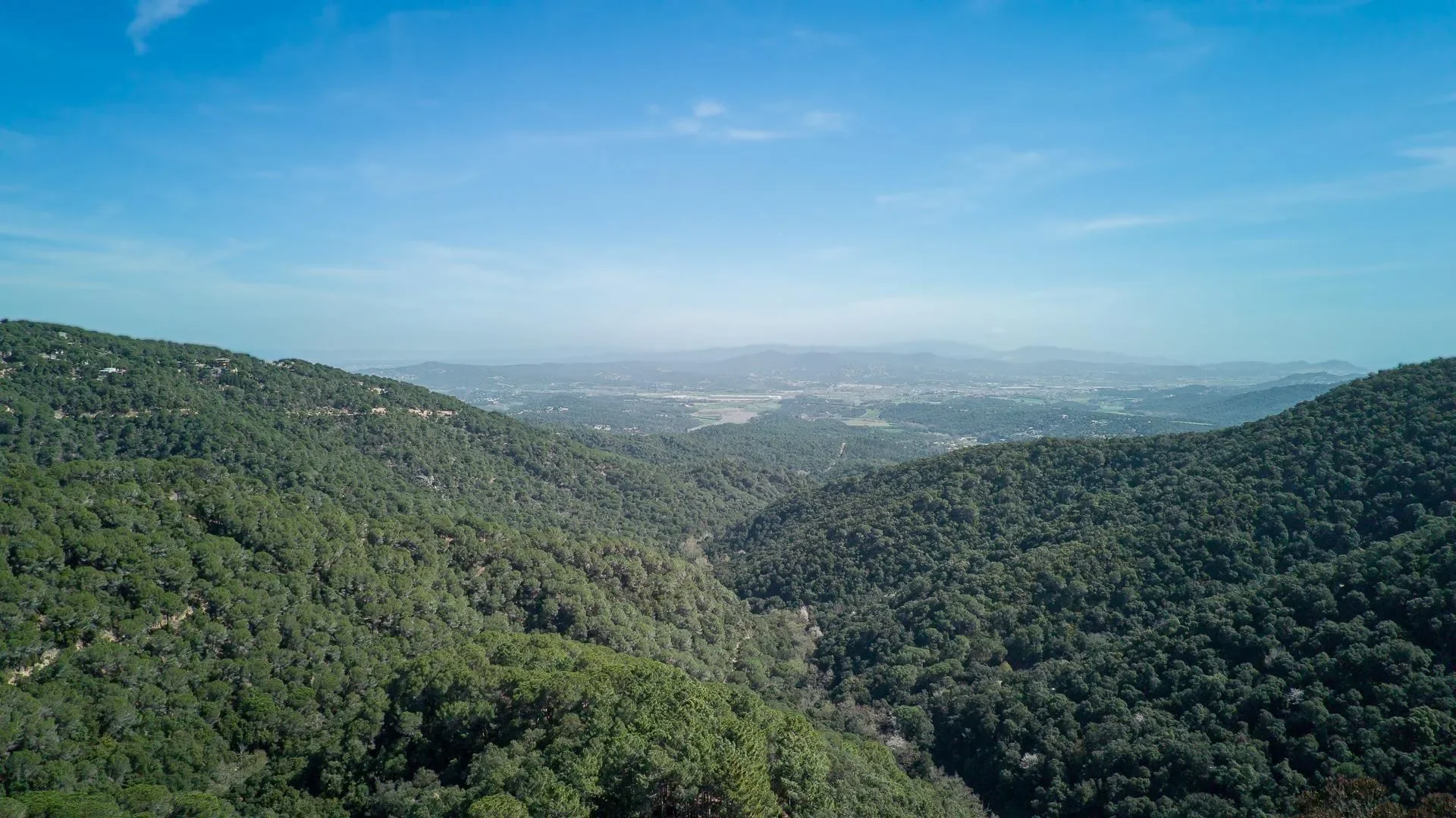 Hortsavinya, Tordera, BARCELONA, Tordera, Tordera, Catalonia, Spain. - Photo 35