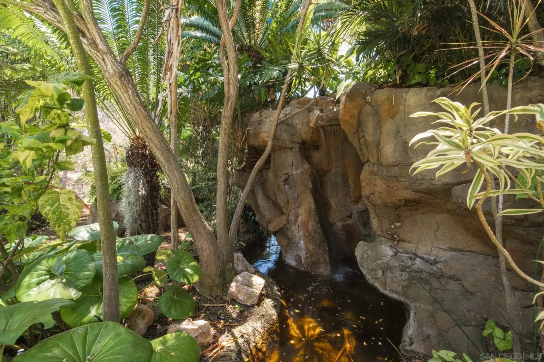 Gallery photo 6