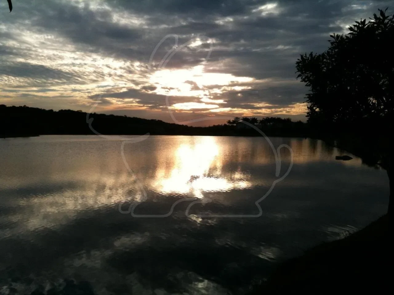 Gallery photo 11