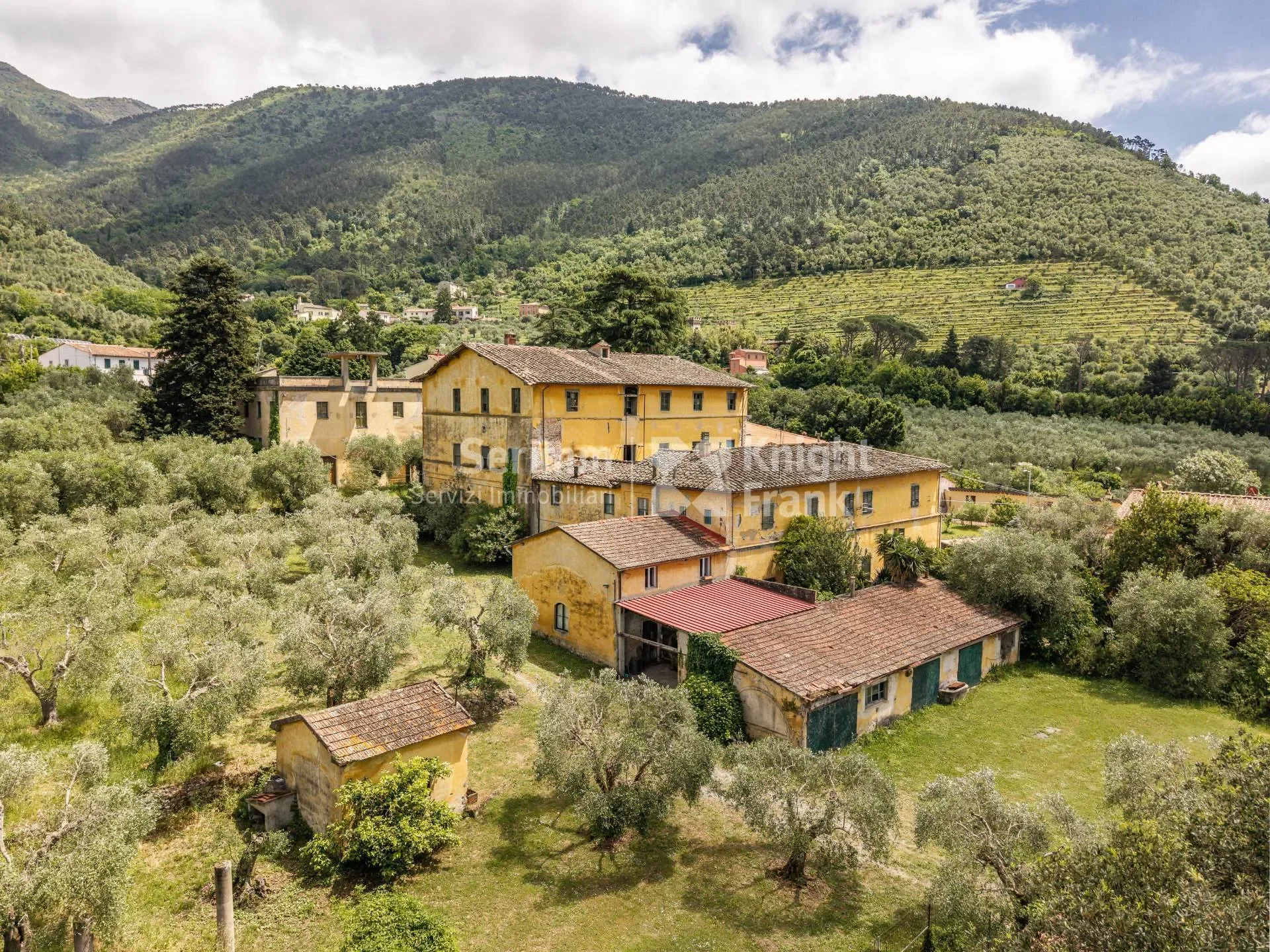 Pisa, Riglione-Oratoio, Tuscany, Italy. - Photo 28