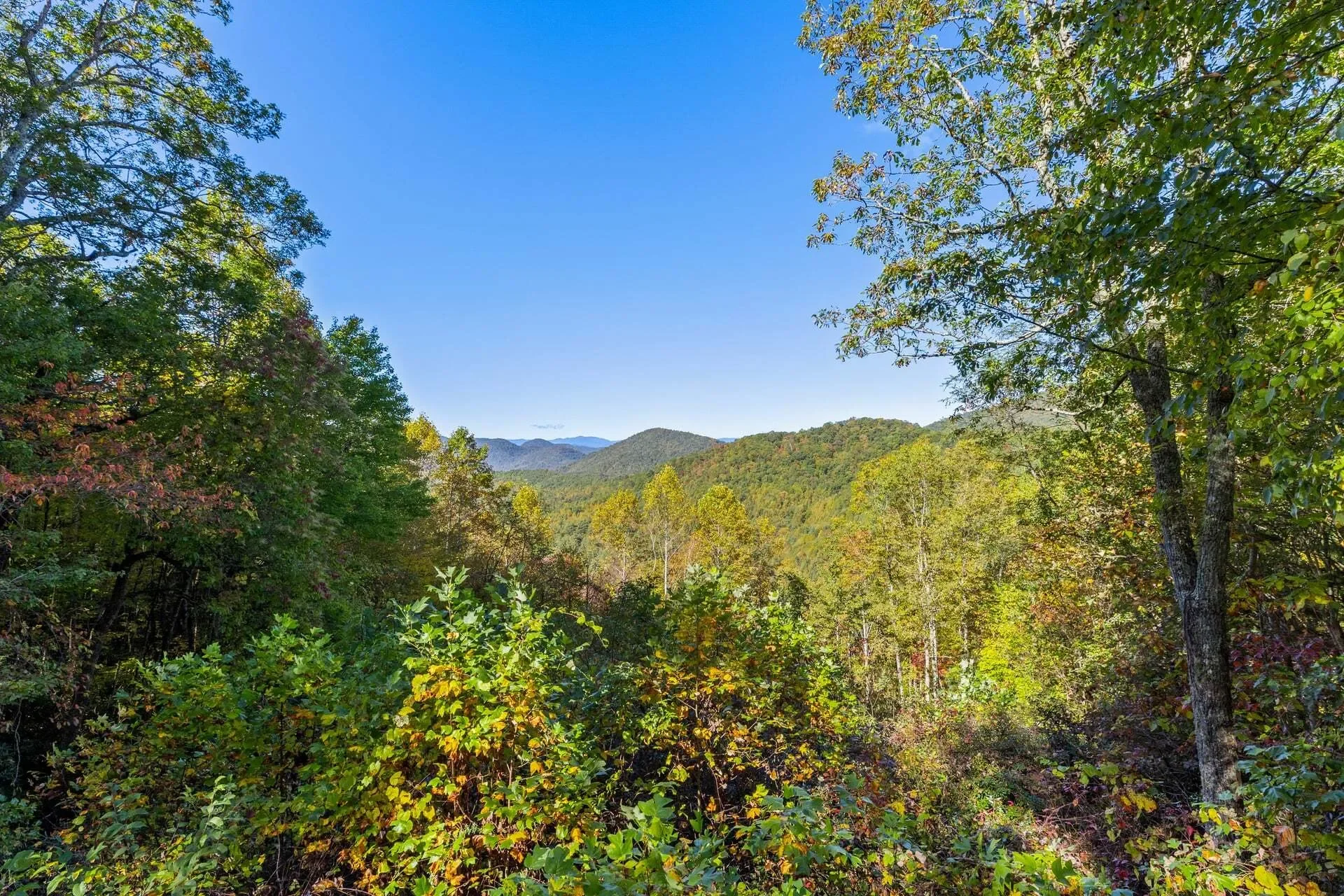 251 Panther Mountain Road, Highlands, NC 28741, Highlands, North Carolina, United States. - Photo 5
