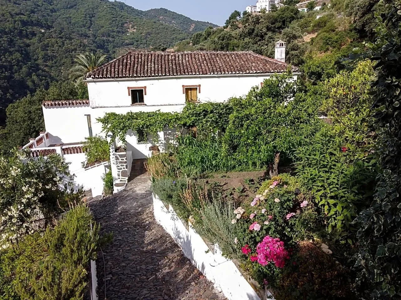 Exterior photo 10