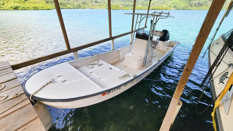 Cauchero, Bocas del Toro Province, Panama. - Photo 21