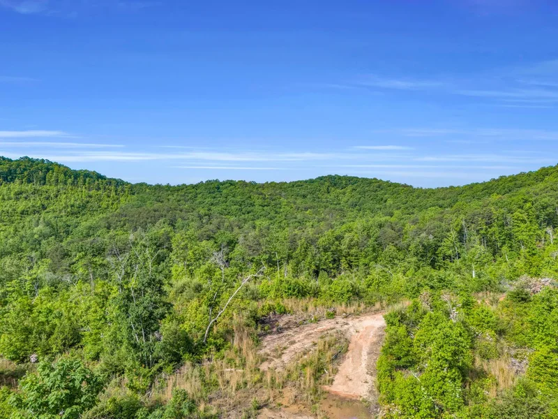 Bills Creek Rd , Lake Lure, NC 28746, Lake Lure, North Carolina, United States. - Photo 2