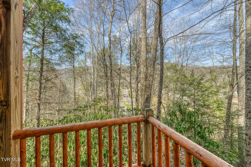 154 State Highway 143, Roan Mountain, TN 37687, Roan Mountain, Tennessee, United States. - Photo 24