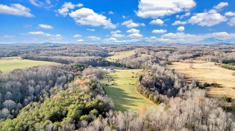1962 McDaniel Rd RD, Bedford, VA 24523, Bedford, Virginia, United States. - Photo 96