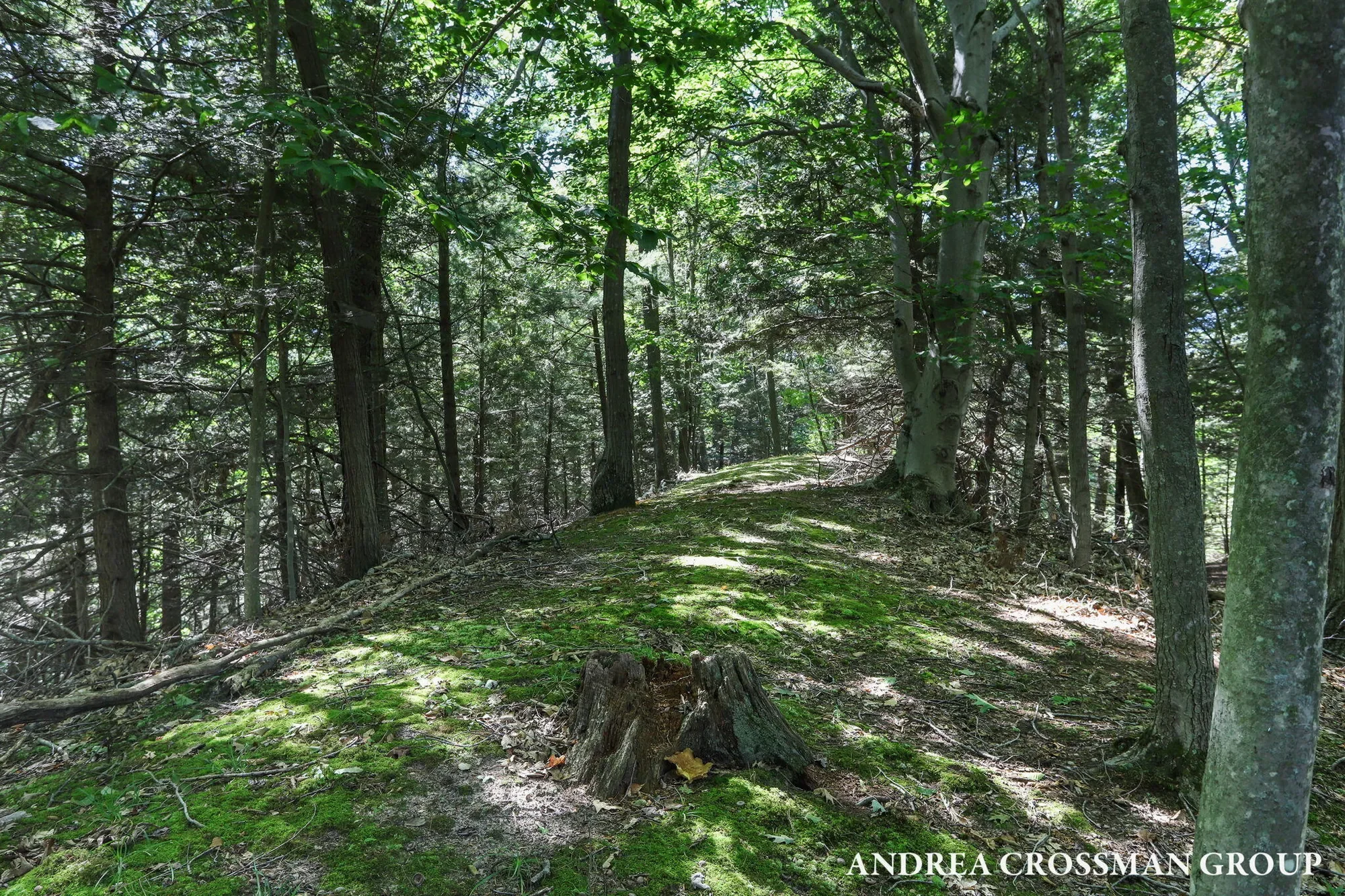 0 Lost Valley Road, Montague, MI 49437, Montague, Michigan, United States. - Photo 29