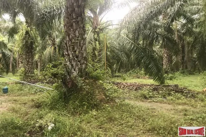 Phang Nga,, Takdat, Phang-nga, Thailand. - Photo 2