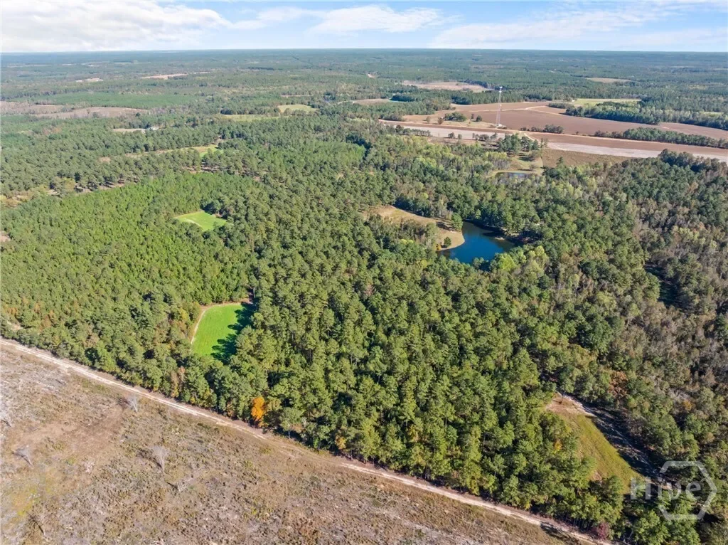 0 Honey Ridge Road, Millen, Georgia, United States. - Photo 61