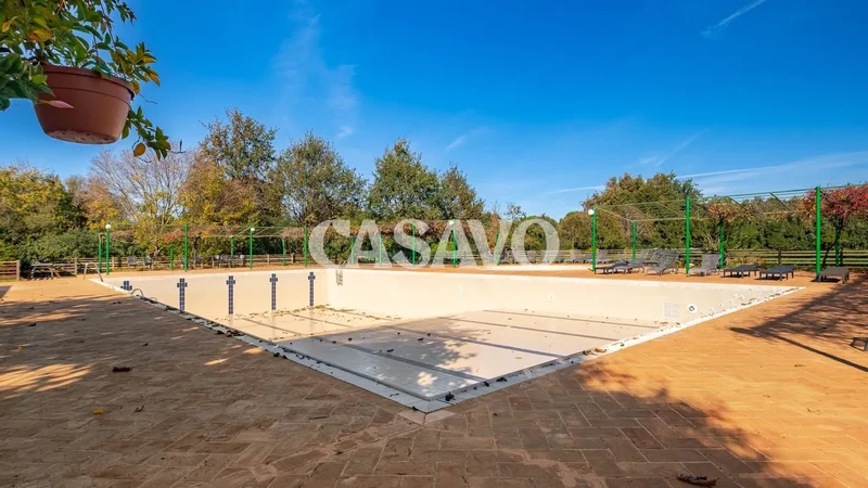 57022 Castagneto Carducci, Province of Livorno, Italy, Castagneto Carducci, Italy. - Photo 40