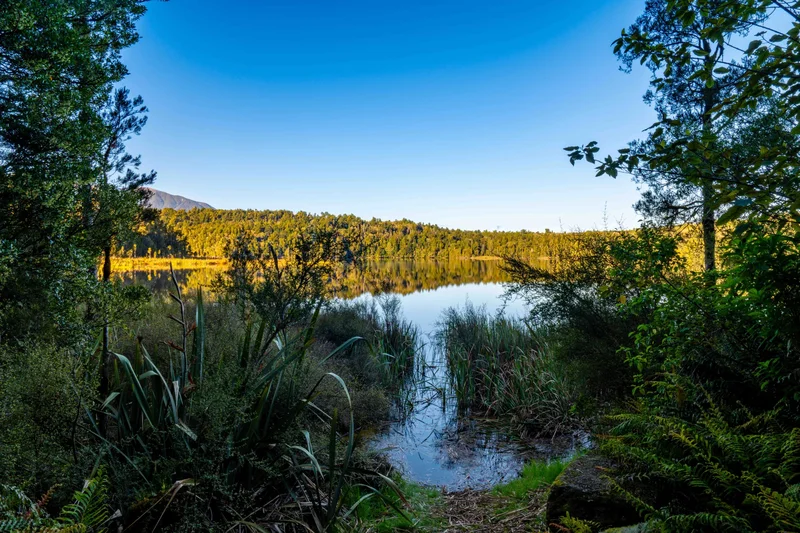 847 Lake Brunner Road, Moana, Grey, WTC 7875, Moana, West Coast, New Zealand. - Photo 13